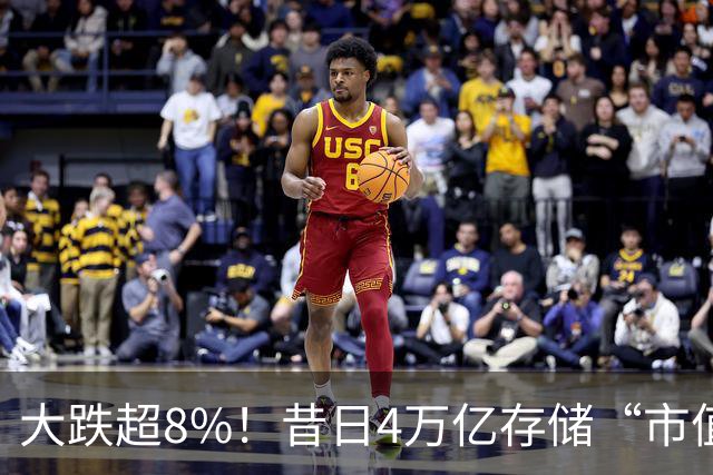 大跌超8%！昔日4万亿存储“市值一哥”，两个月市值蒸发1.3万亿，还会跌吗？